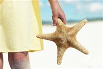 【0購分界洲】海南雙飛5日游