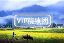 VIP【尊品江西】廬山鄱陽湖景德鎮婺源三清山 4日游